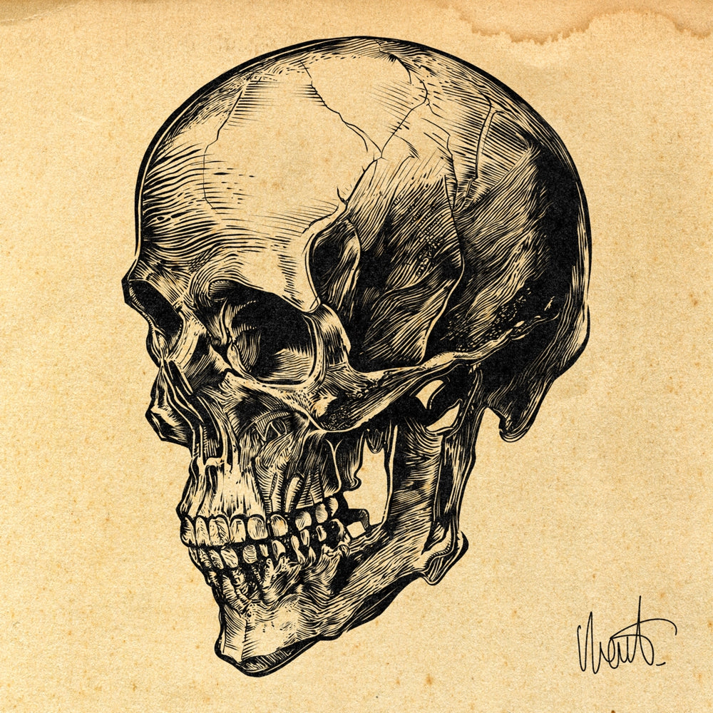 SKULL ART